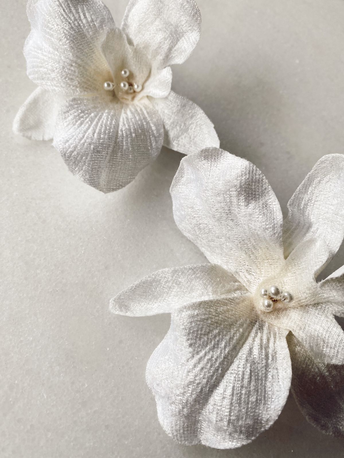 Orquídeas